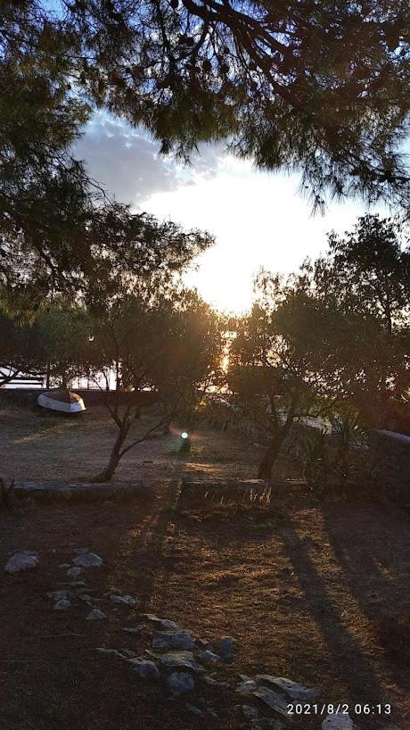 Raslina Sun Apartment エクステリア 写真